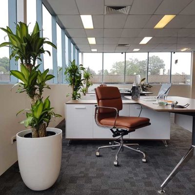 How to Make Your Office Space More Comfortable