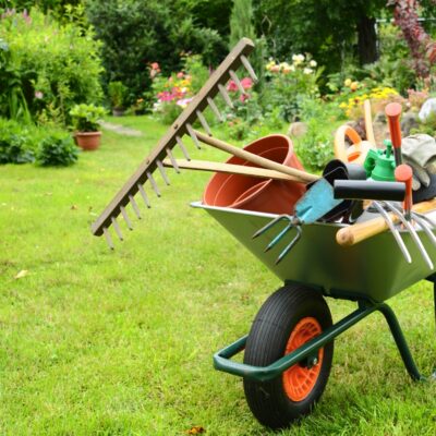 Garden Design: How to Choose the Right Equipment for Landscaping