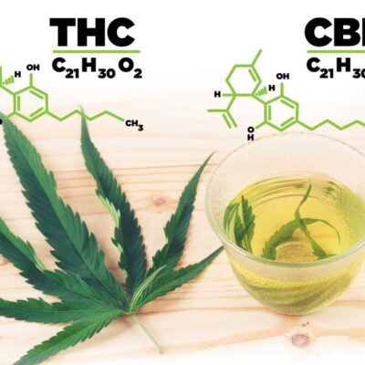 A Helpful Guide on the Difference Between CBD and THC